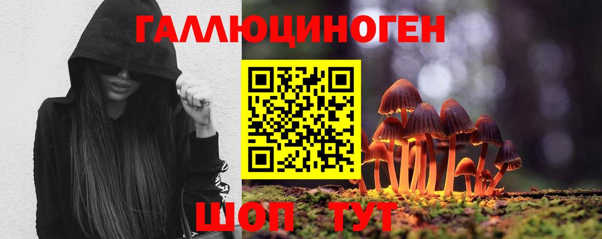 Псилоцибиновые грибы Psilocybine cubensis Домодедово