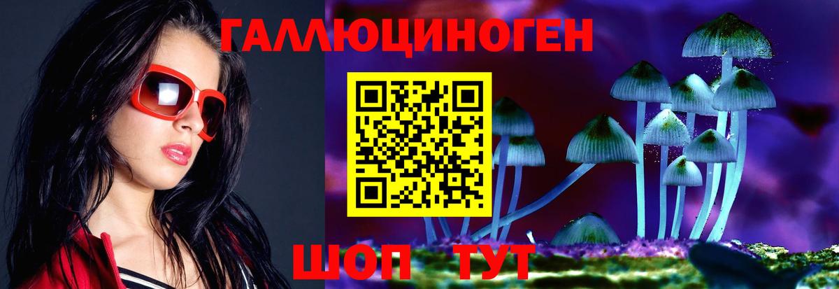 Псилоцибиновые грибы MAGIC MUSHROOMS  Вход с VPN  Домодедово 